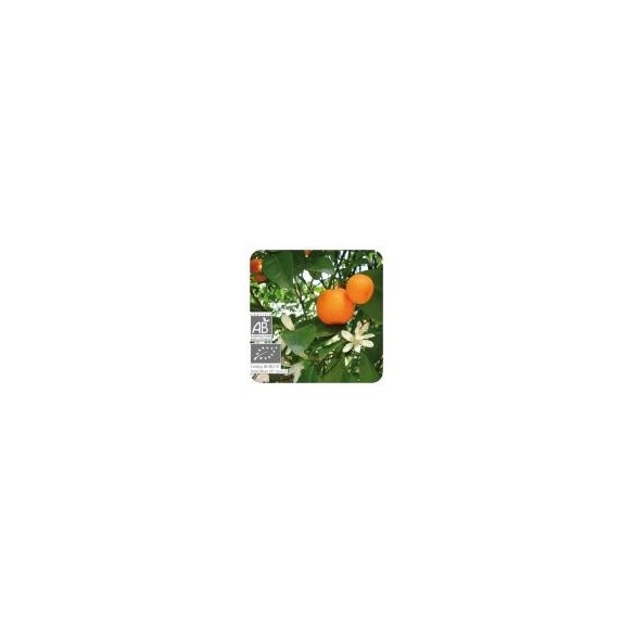 Pranarom Etericno ulje MANDARINA usplode Pranarom Etericno ulje MANDARINA usplode